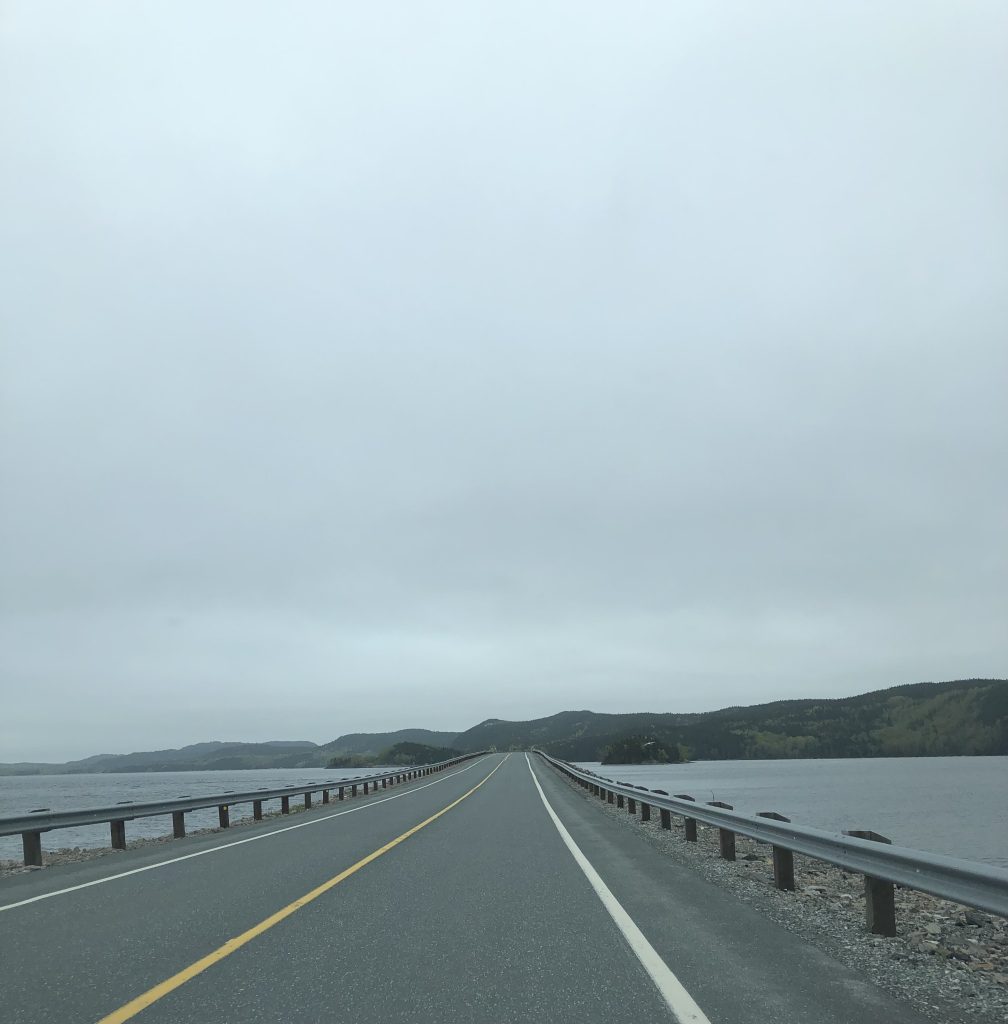 Terra Nova National Park