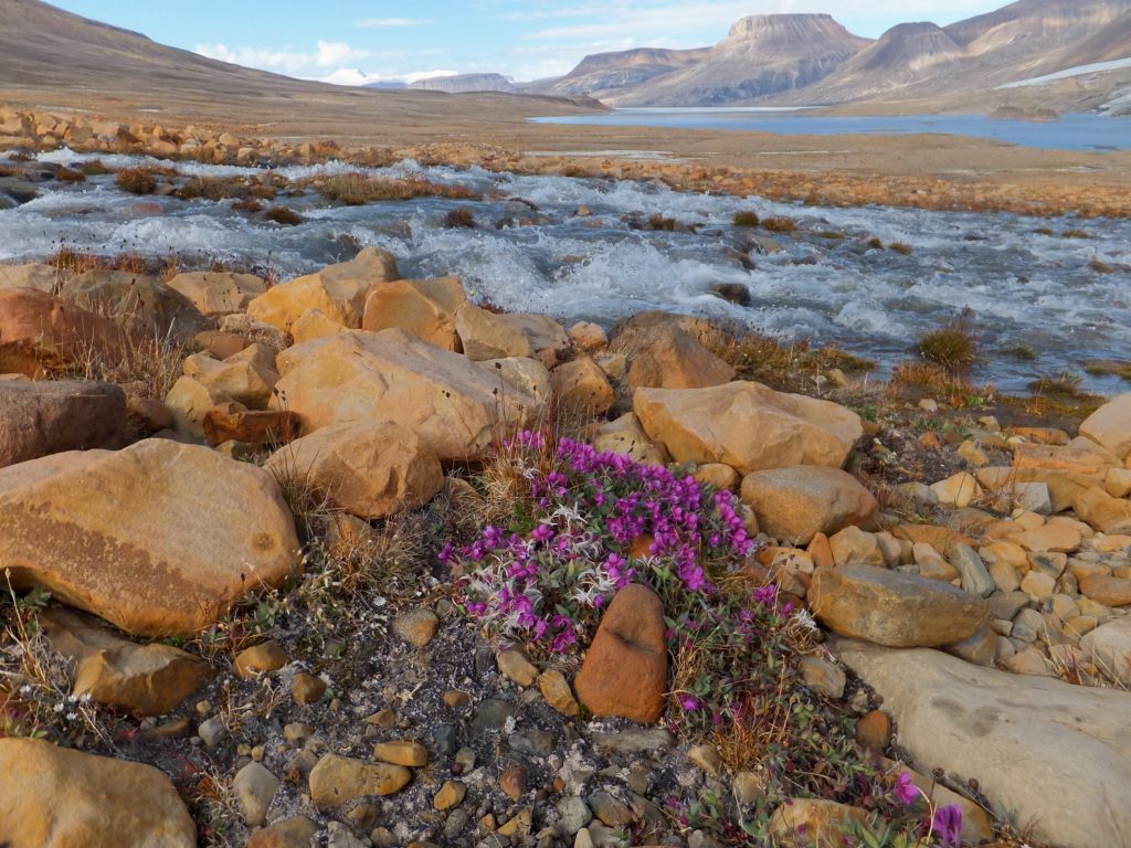Quttinirpaaq National Park