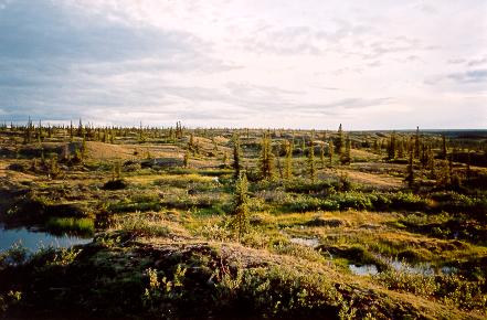 Tuktut Nogait National Park