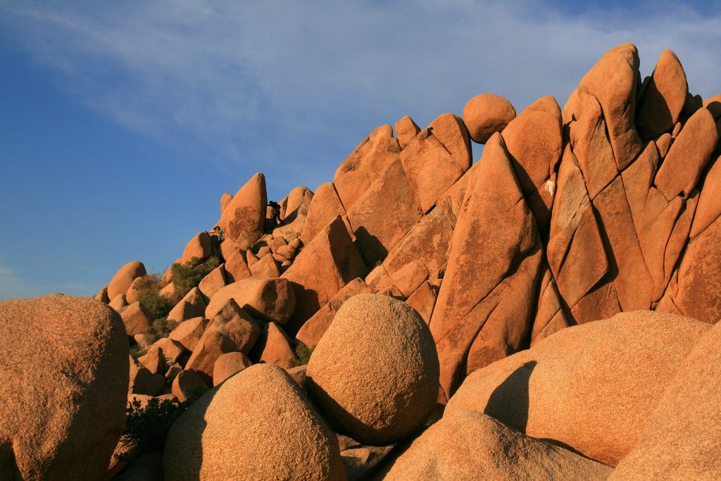 Joshua Tree National Park