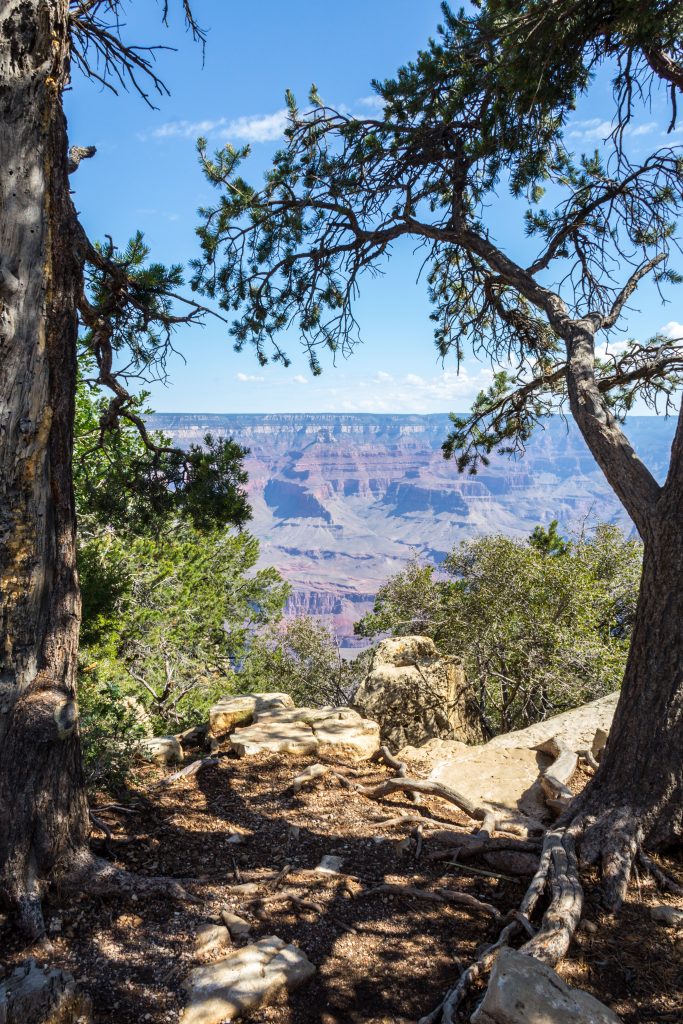 Grand Canyon National Park