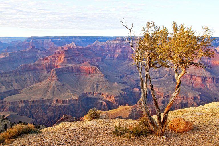 Grand Canyon National Park