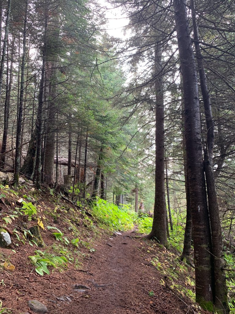Isle Royale National Park