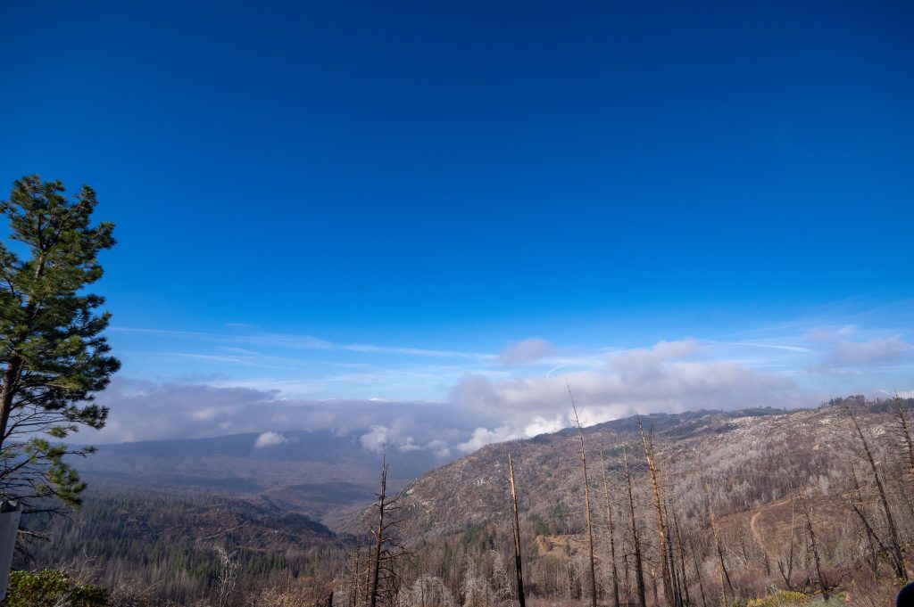 Kings Canyon National Park