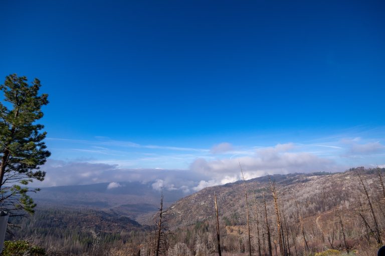 Kings Canyon National Park