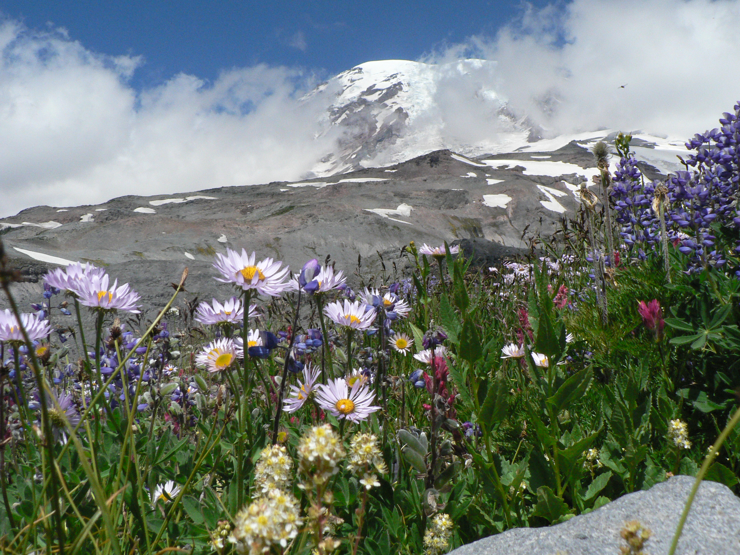 Mount Rainier National Park