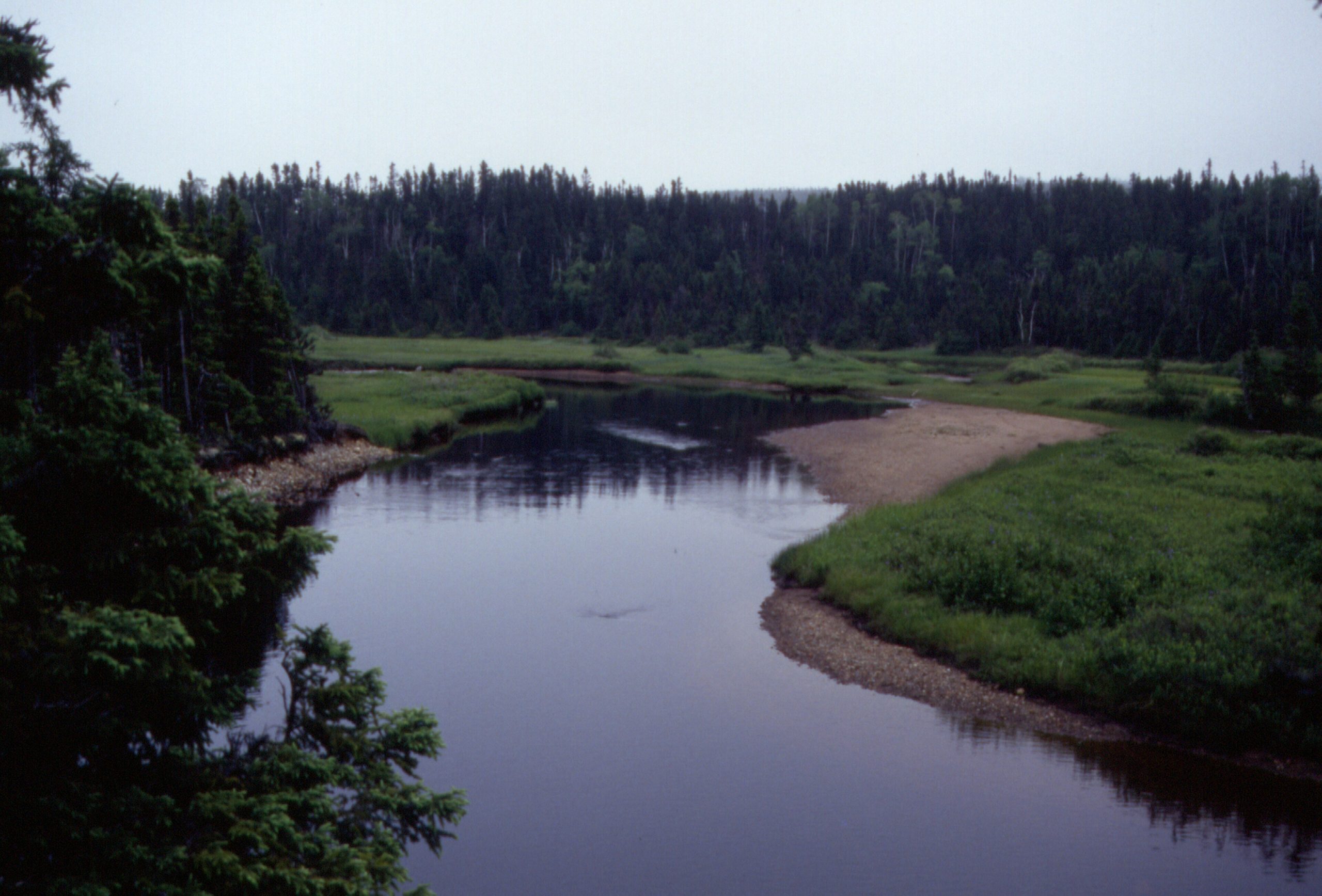 Terra Nova National Park