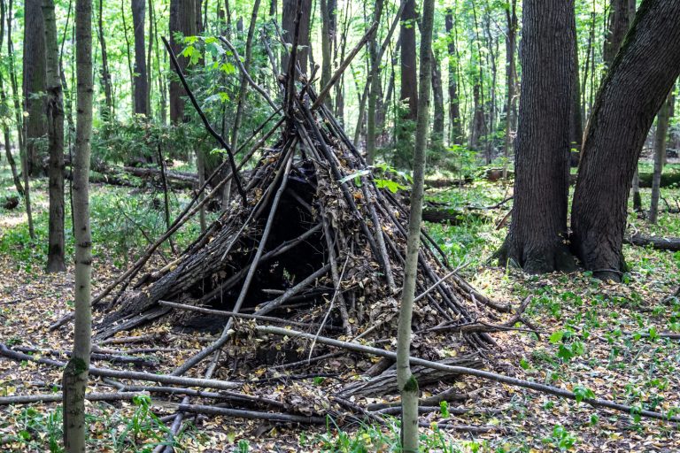 How to build an emergency shelter with no tent