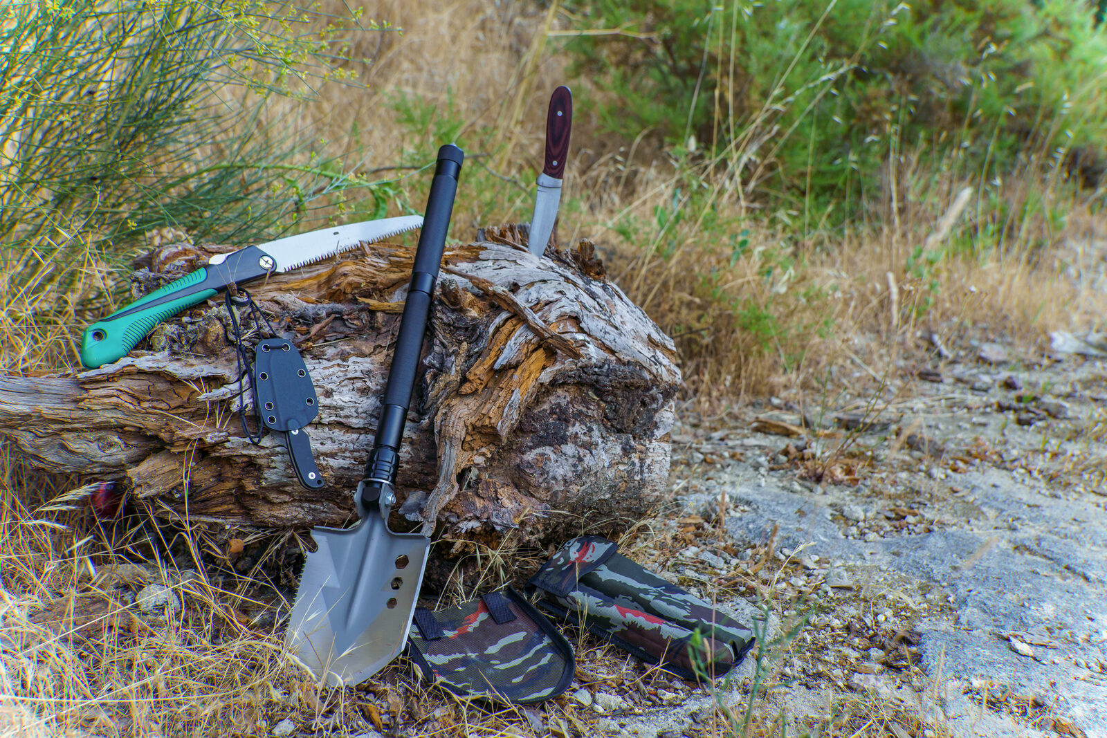 A folding entrenching tool standing against a log outdoors, with a knife and folding saw, in a grassy wilderness setting