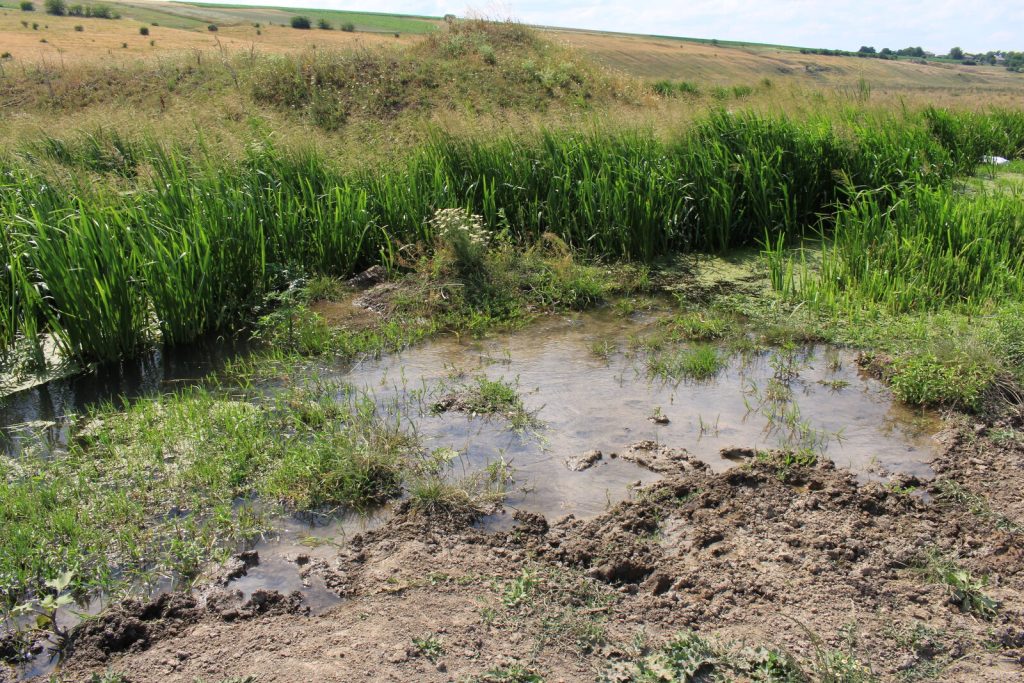 How to escape quicksand, bogs, and mud