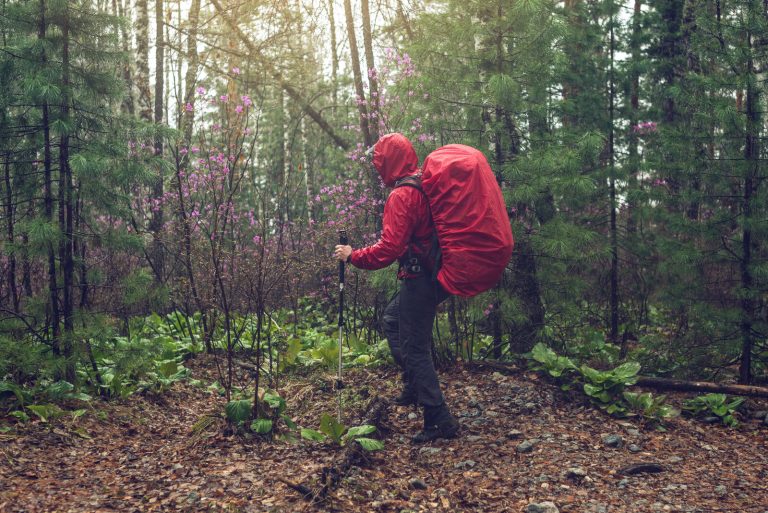 Hiker in a red rain jacket and pack hiking through a wet, misty forest in cool rainy weather