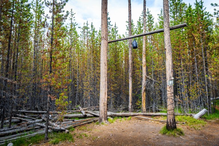 Bear-proof food bag hanging at a campsite