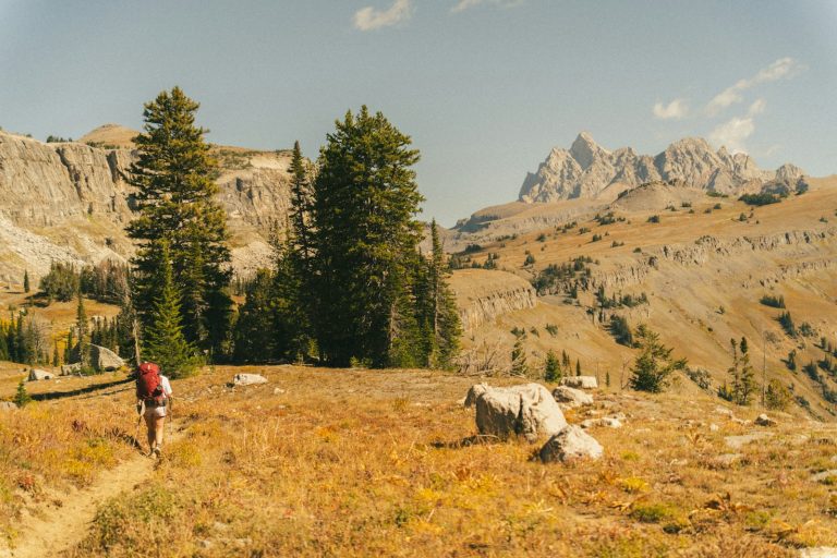 Know before you go: a pre-trip safety plan