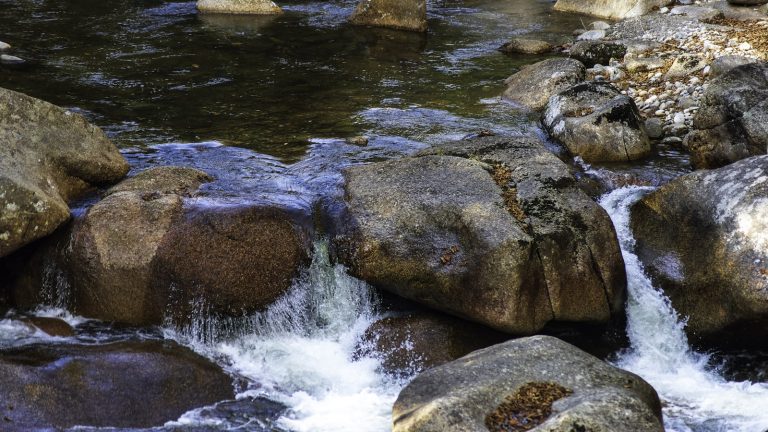How to purify water in the backcountry
