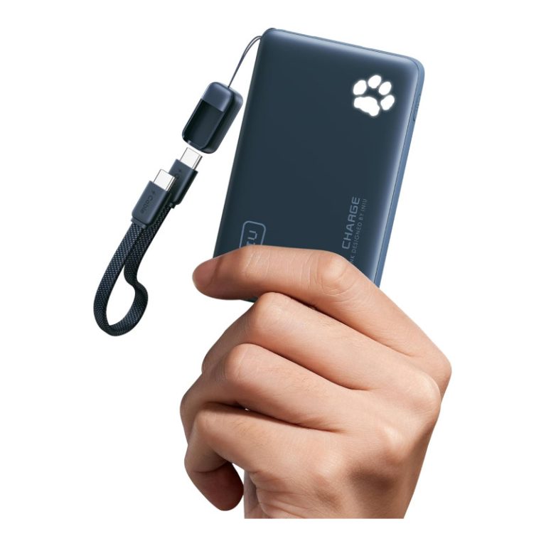 INIU P41 power bank