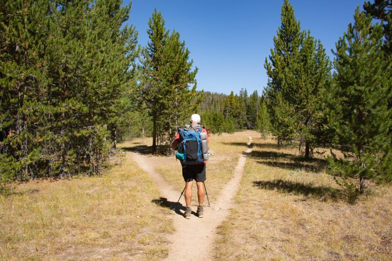 A lone backpacker with a loaded multi-day pack, a sleeping pad strapped to the side and trekking poles stops at a fork in the trail in open pine forest in the Wind River Range, Wyoming.