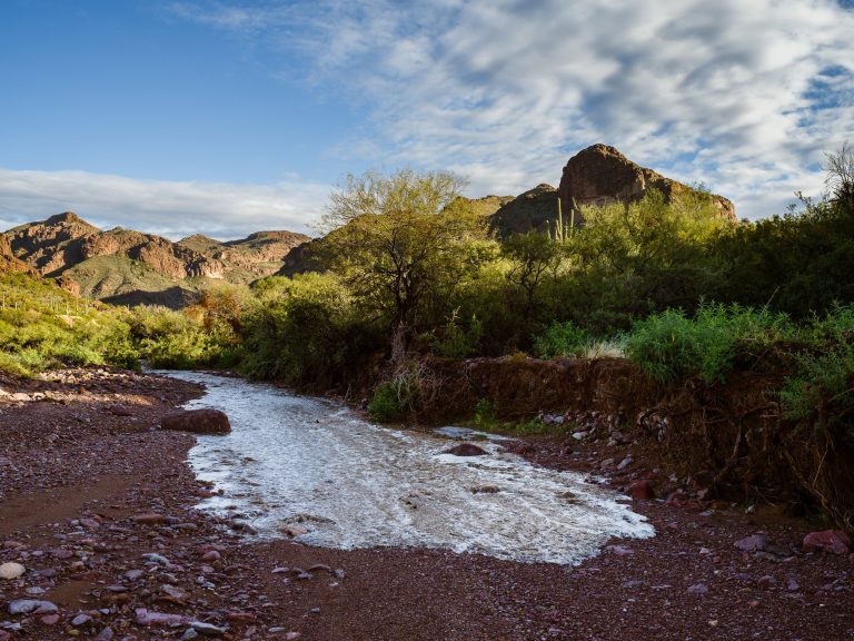 The leading edge of a flash flood running down a dry desert wash in Arizona under a mostly blue sky, with mountains beyond