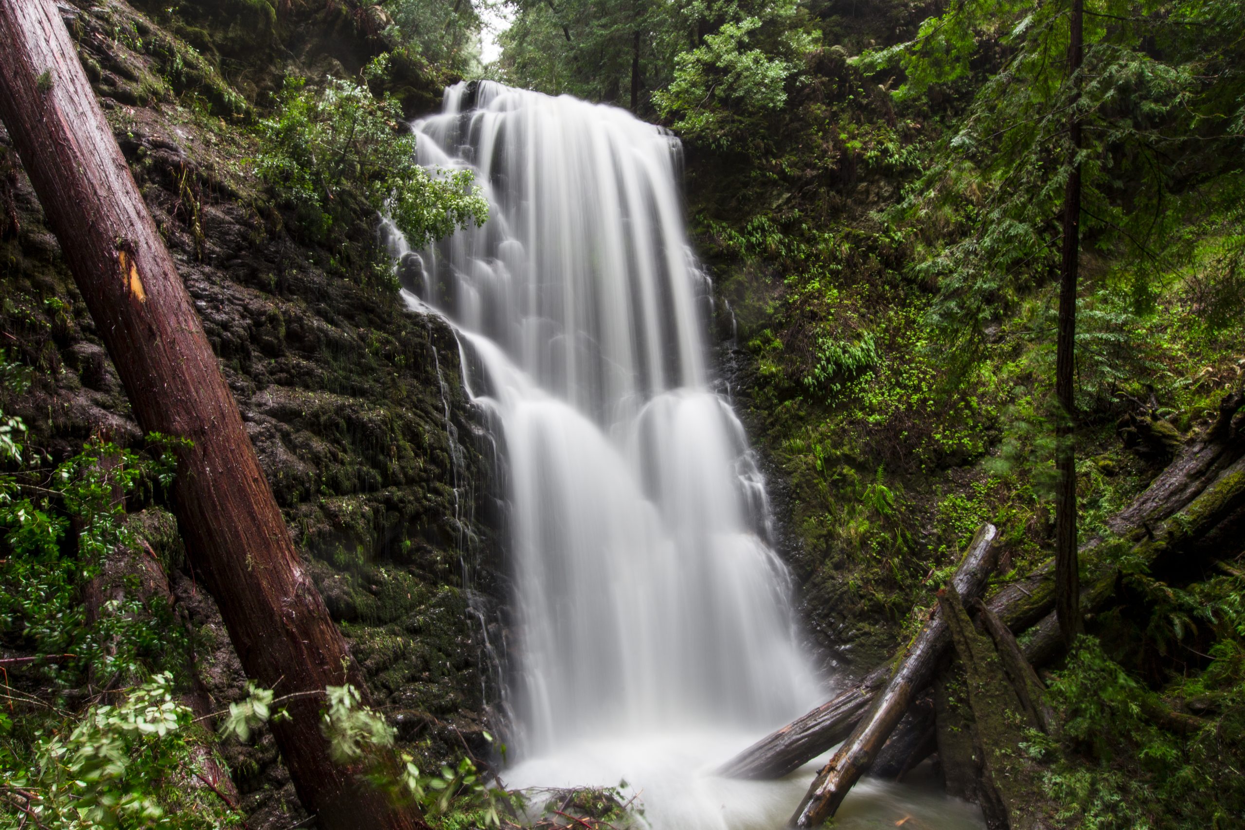 Big Basin Redwoods State Park
