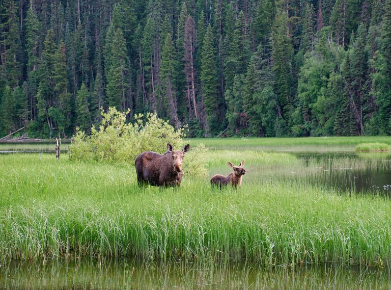 Bowron Lake Provincial Park