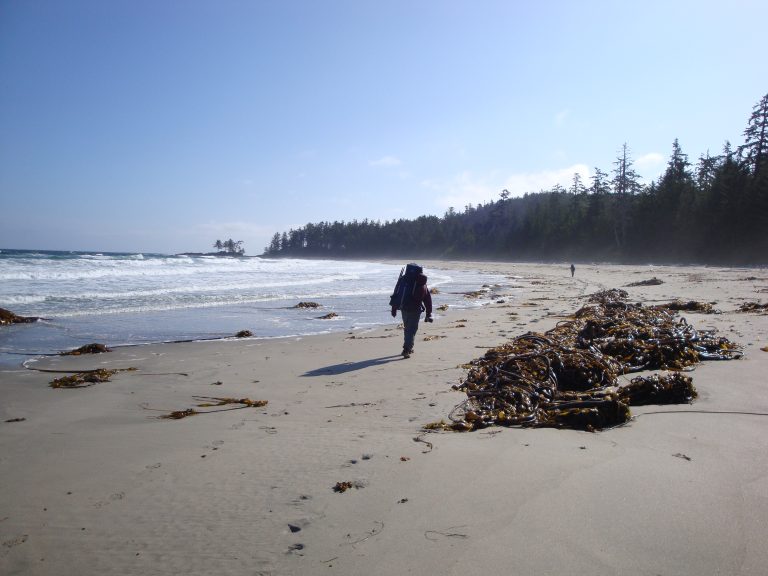 Cape Scott Provincial Park