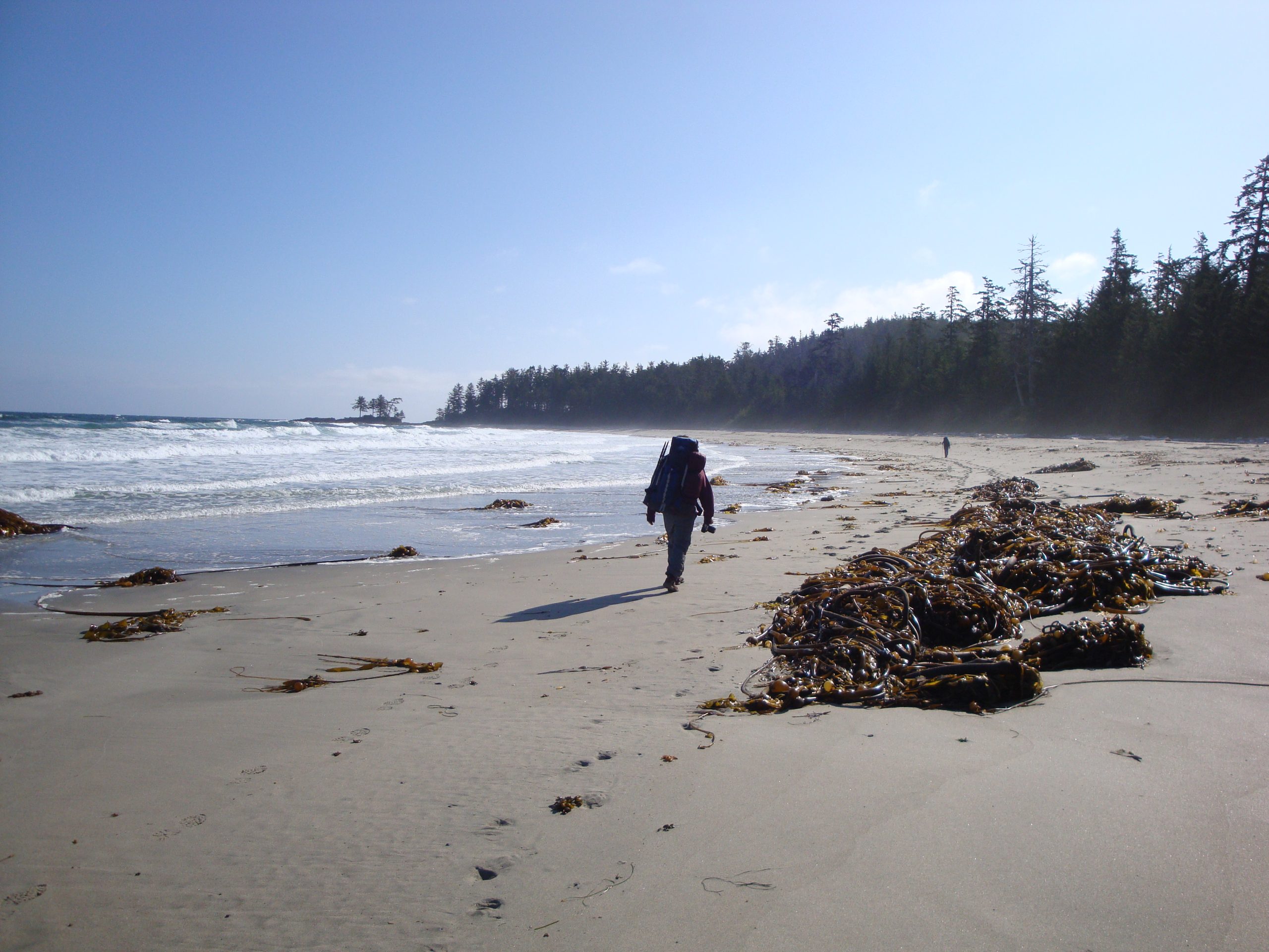 Cape Scott Provincial Park