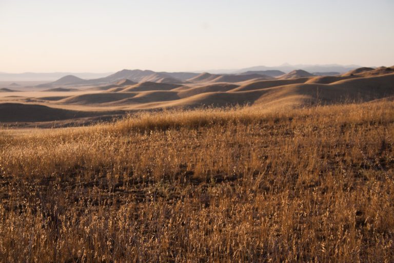 Carrizo Plain National Monument