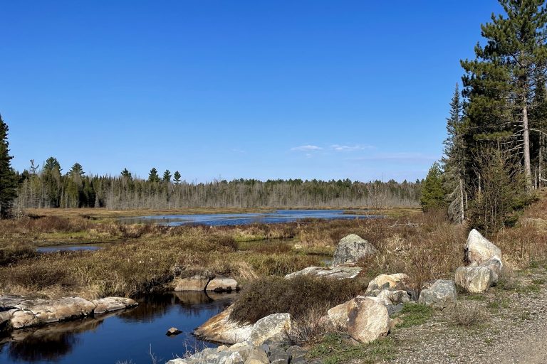 Craig Lake State Park