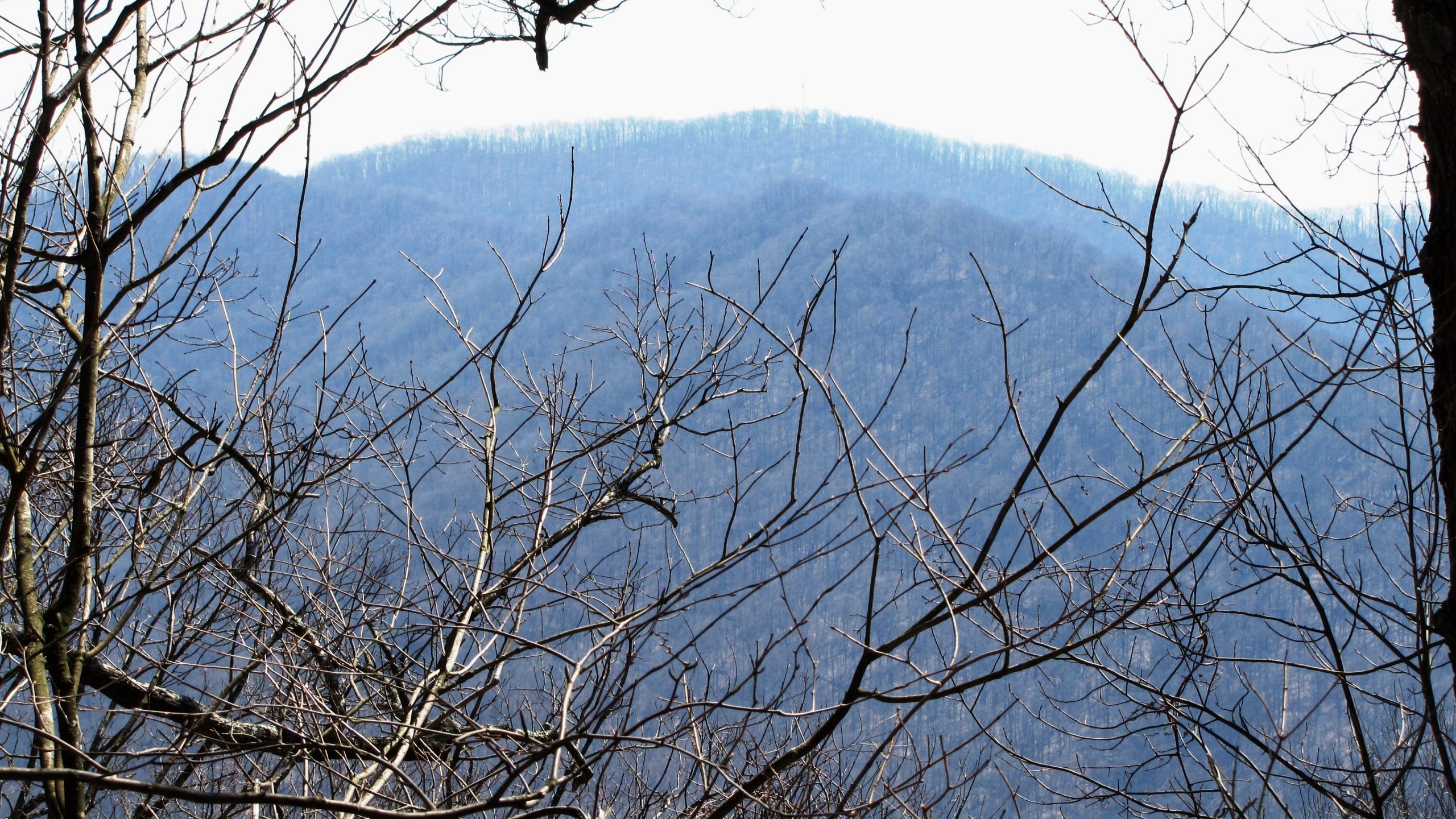 Frozen Head State Park