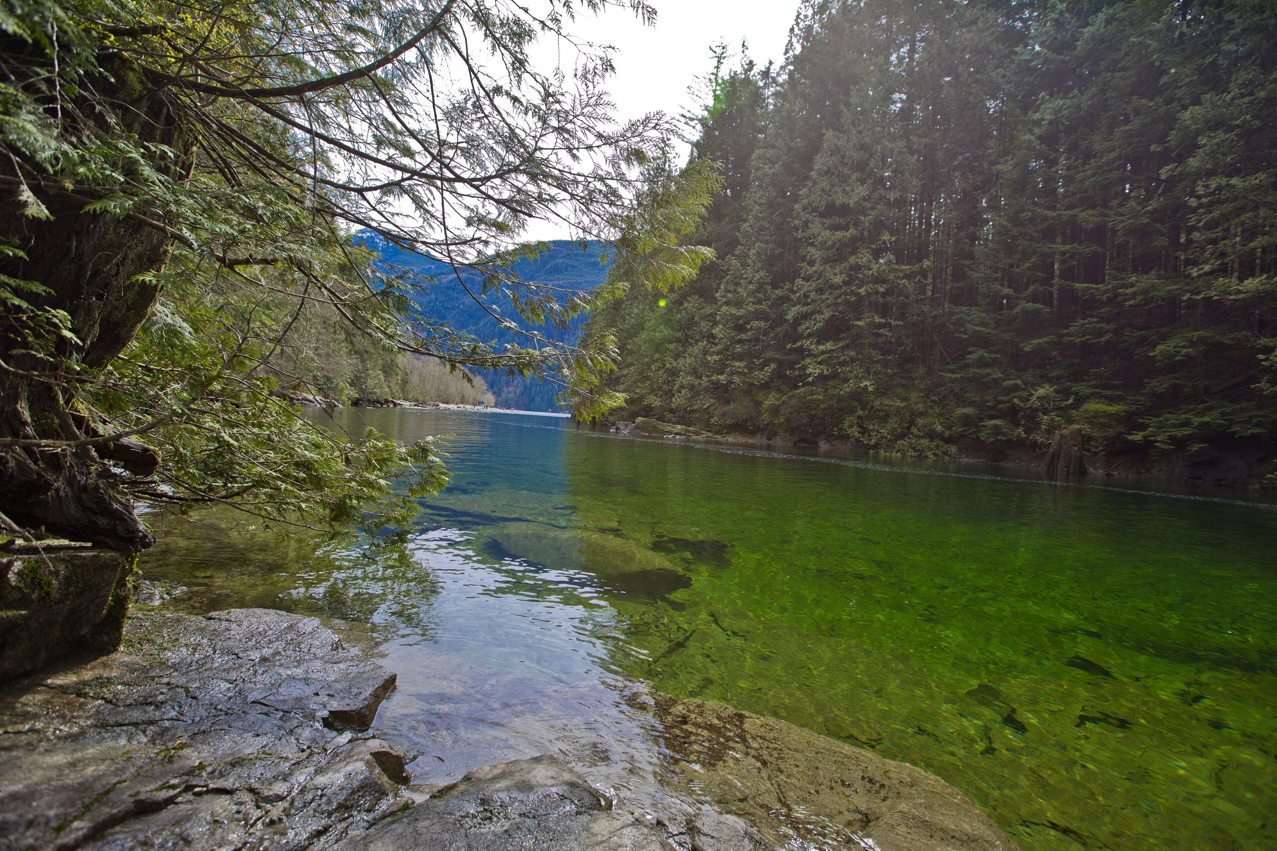 Golden Ears Provincial Park