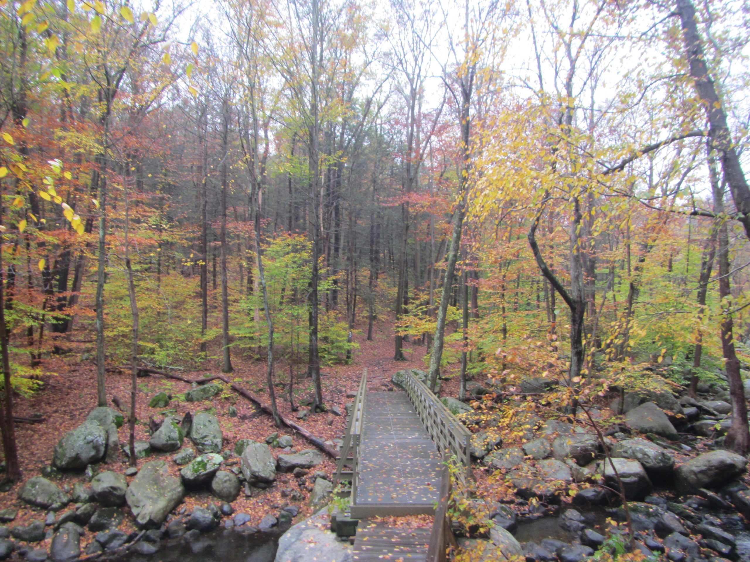 Harriman State Park