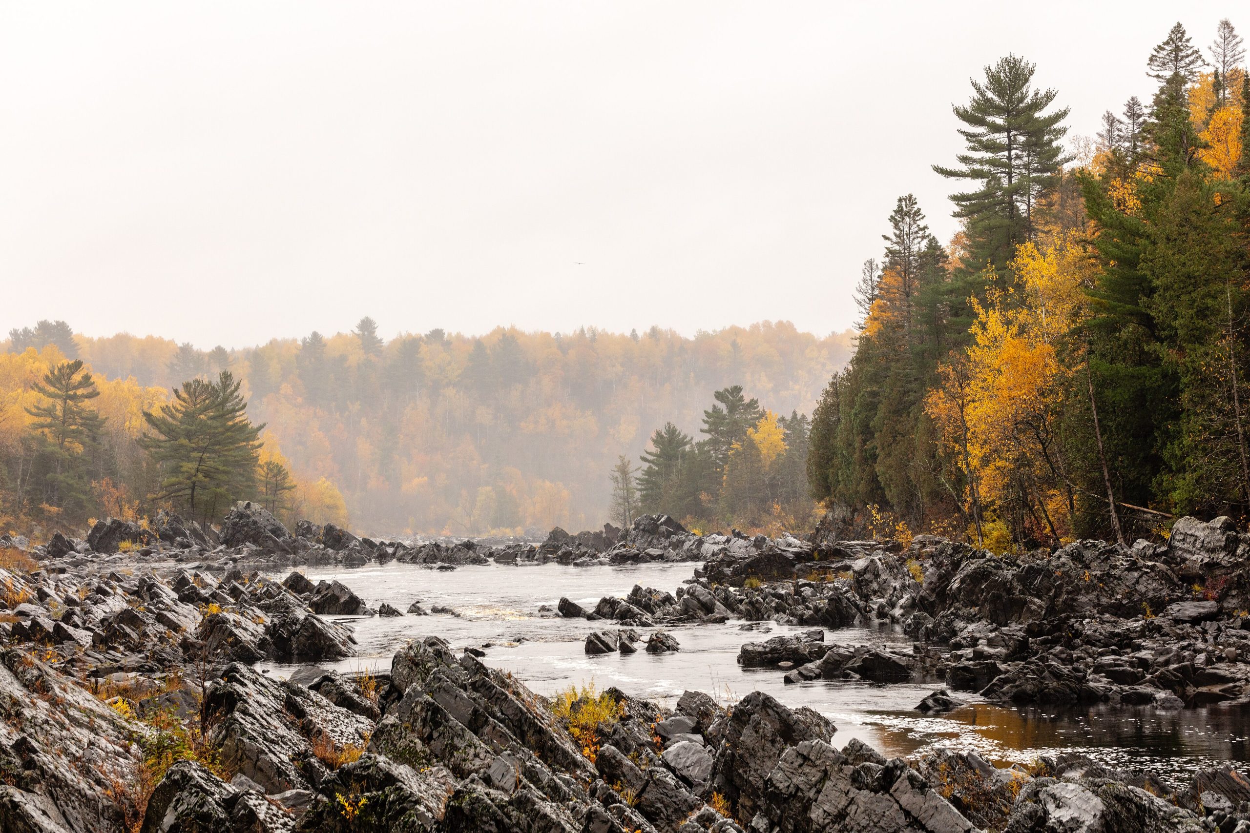 Jay Cooke State Park