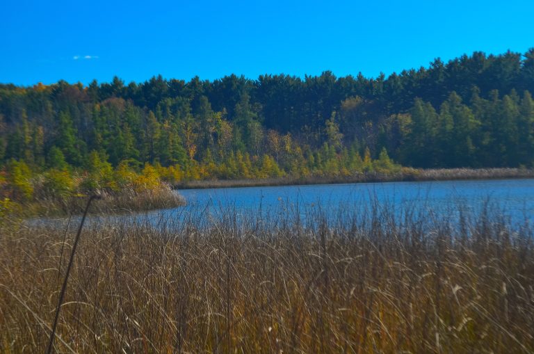 Kettle Moraine State Forest