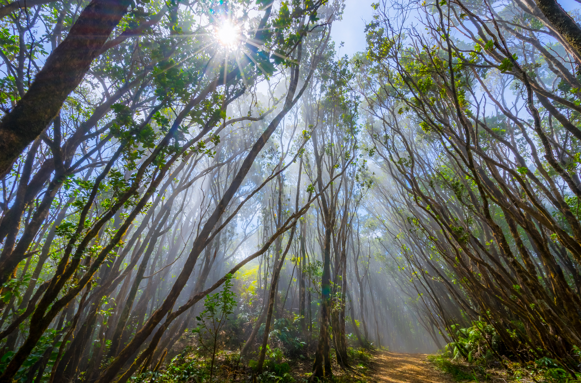 Koke’e State Park
