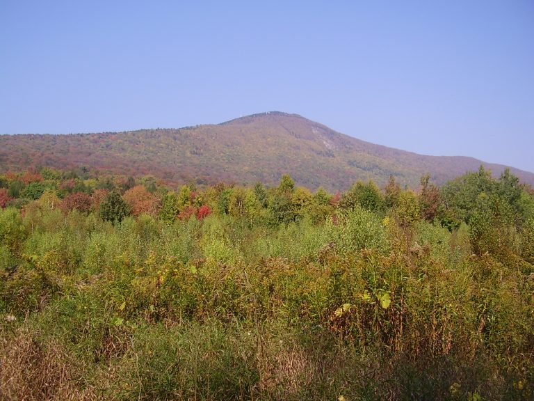 Mount Greylock State Reservation