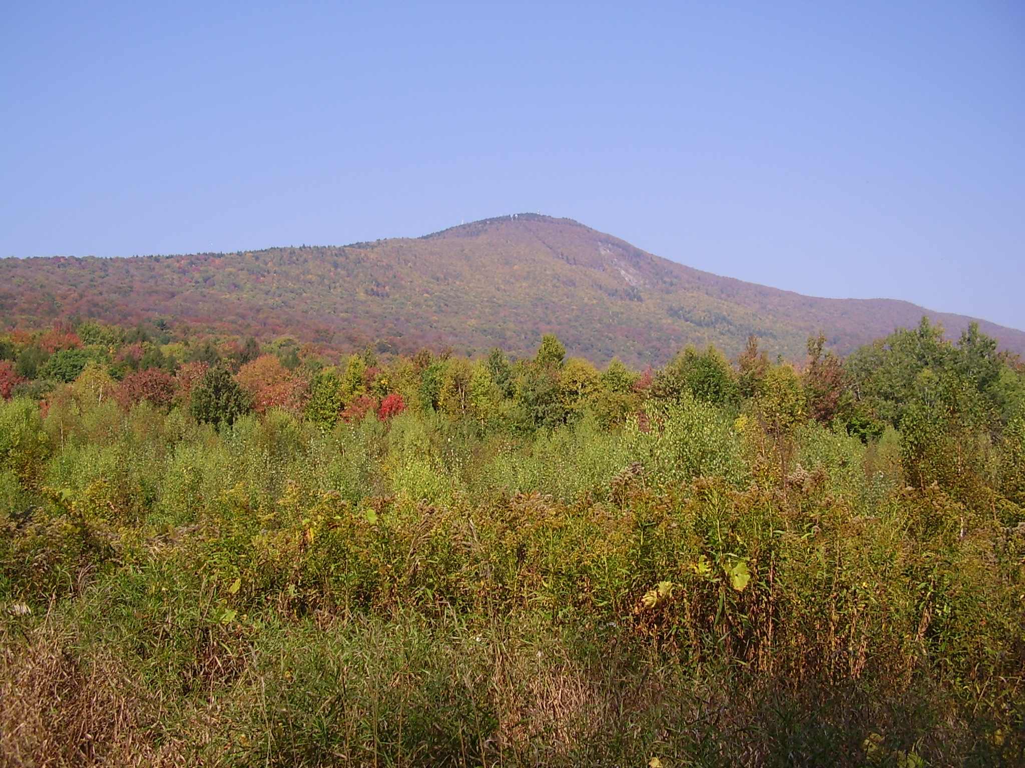 Mount Greylock State Reservation