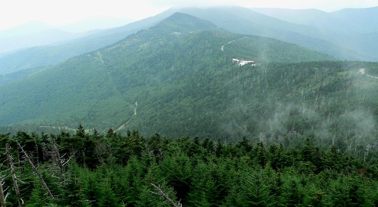 Mount Mitchell State Park