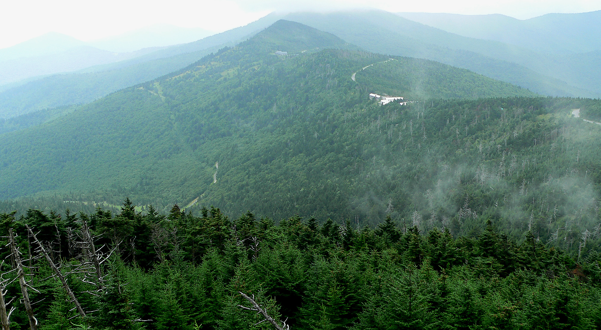 Mount Mitchell State Park
