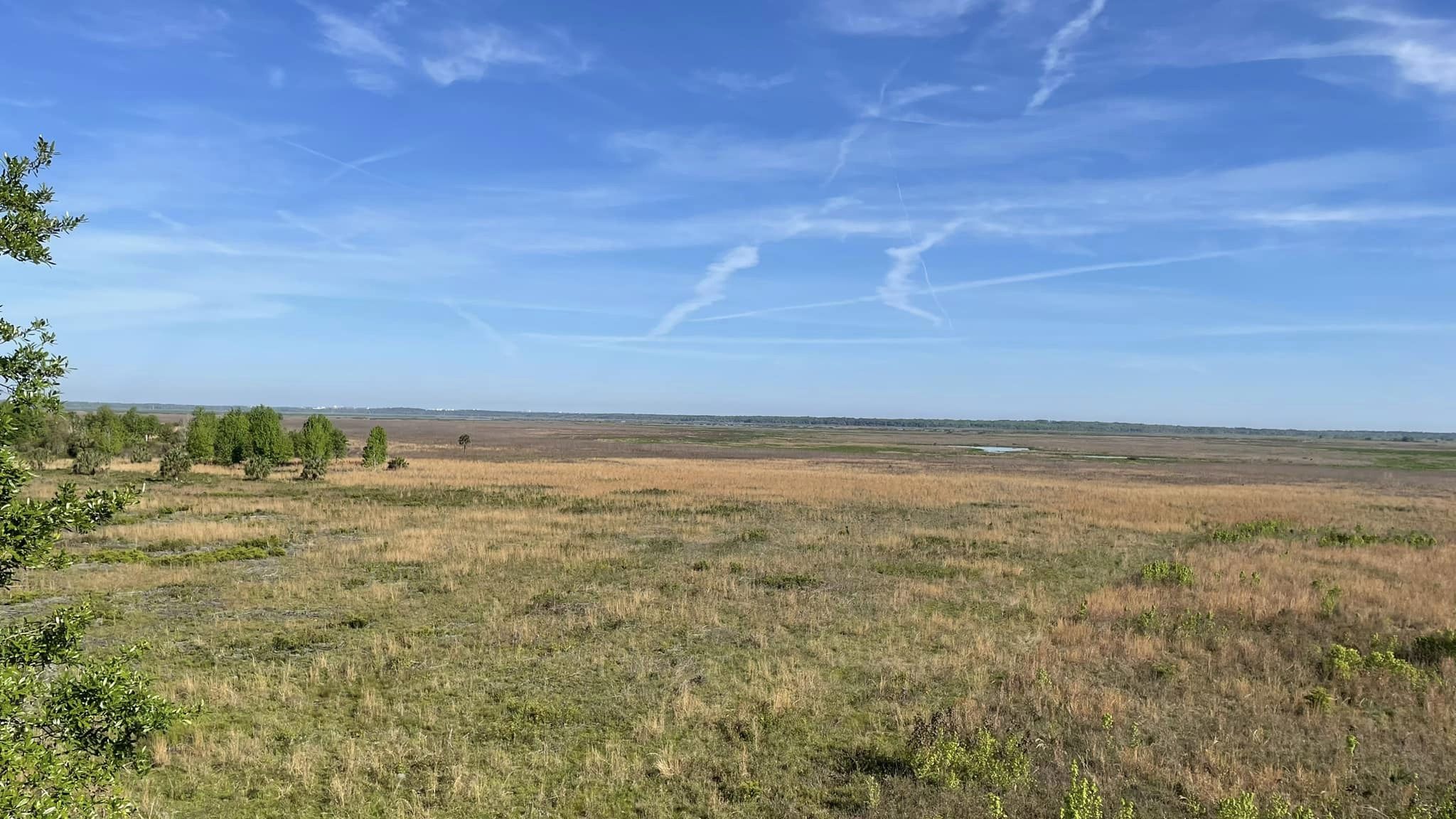 Myakka River State Park