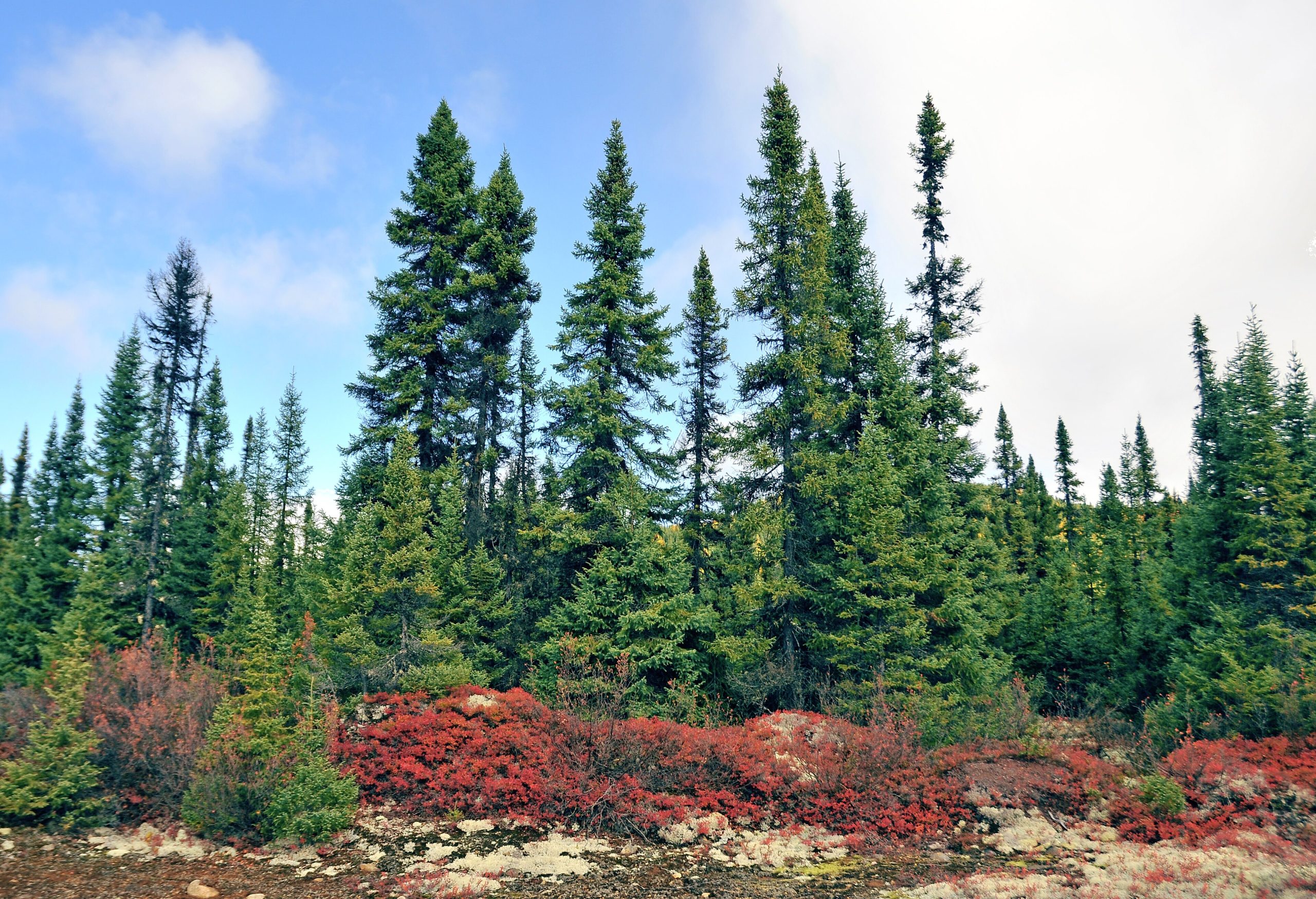 Parc national des Grands-Jardins
