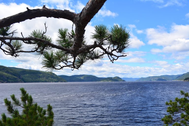 Parc national du Fjord-du-Saguenay