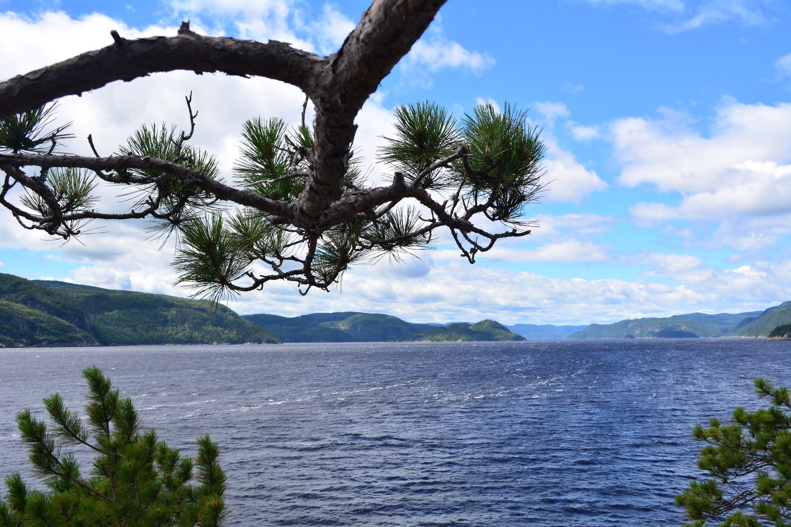 Parc national du Fjord-du-Saguenay