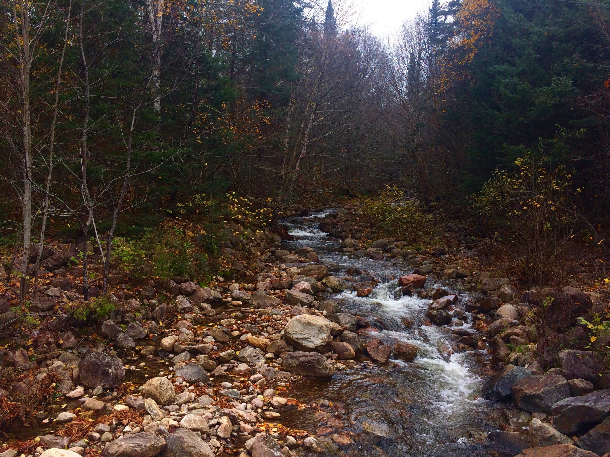 Parc national du Mont-Tremblant