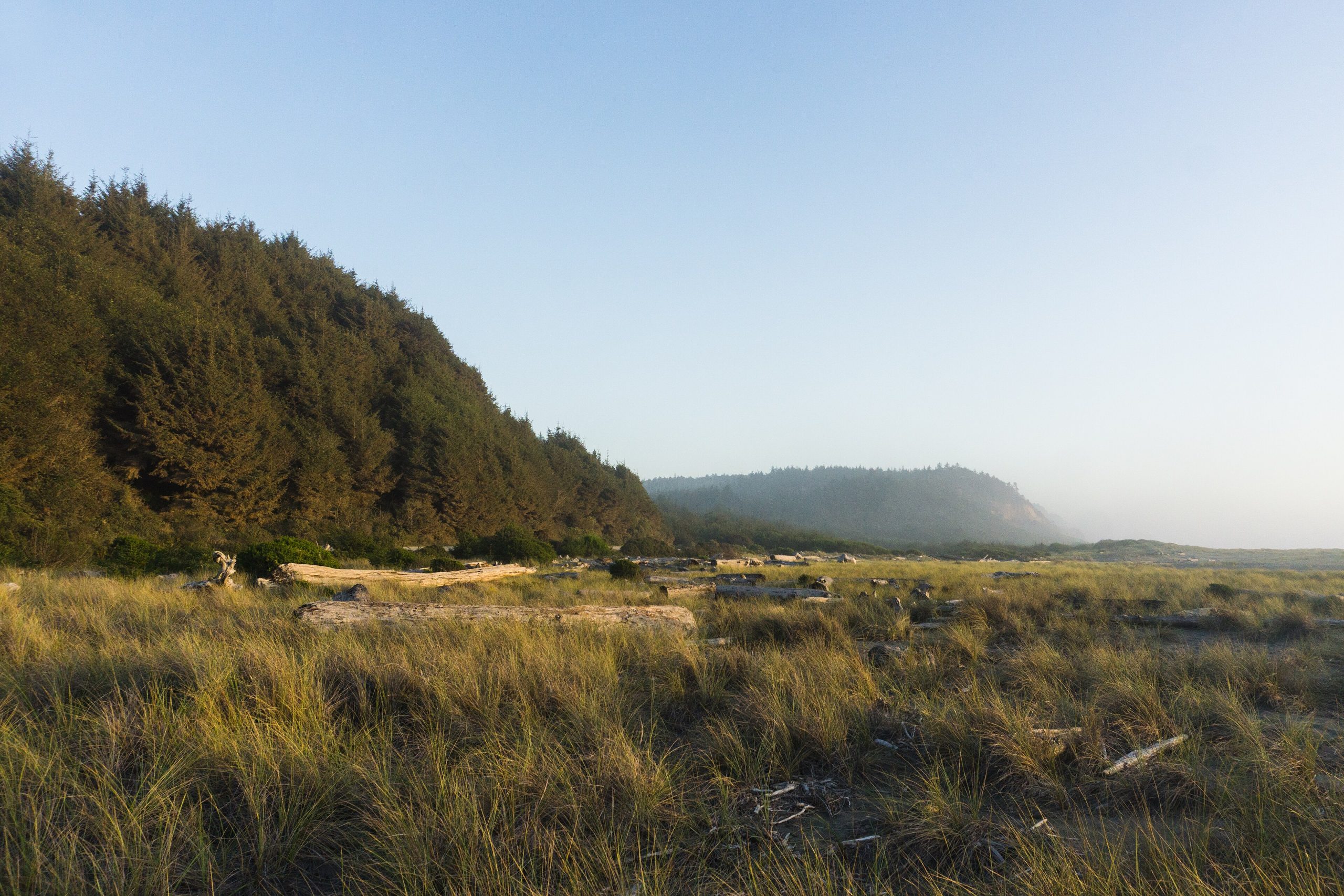 Prairie Creek Redwoods State Park