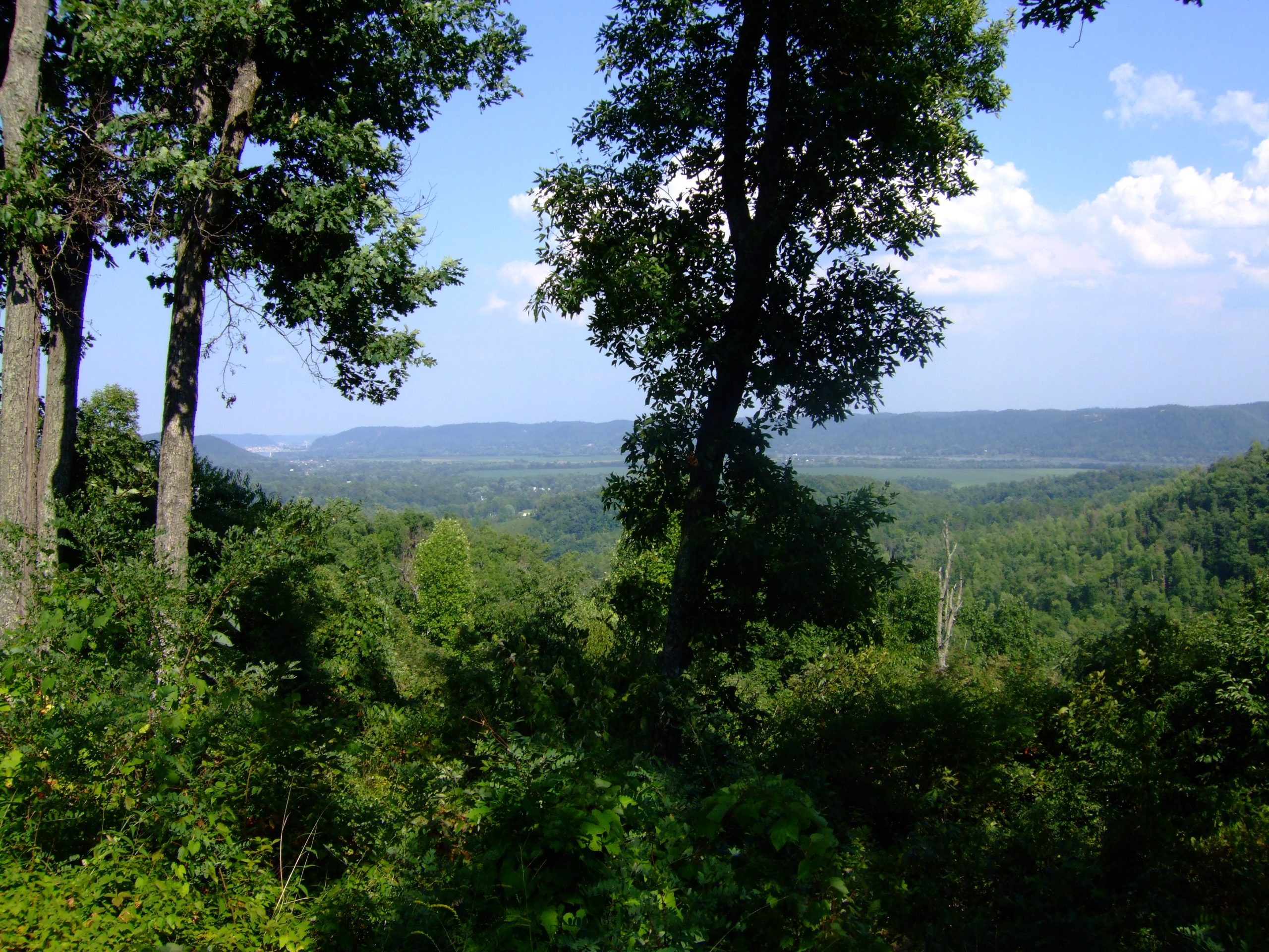 Shawnee State Forest