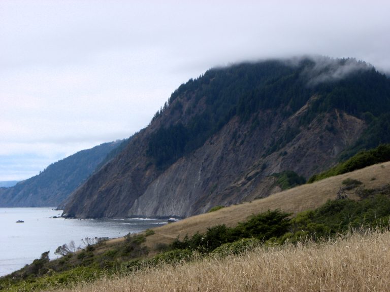 Sinkyone Wilderness State Park