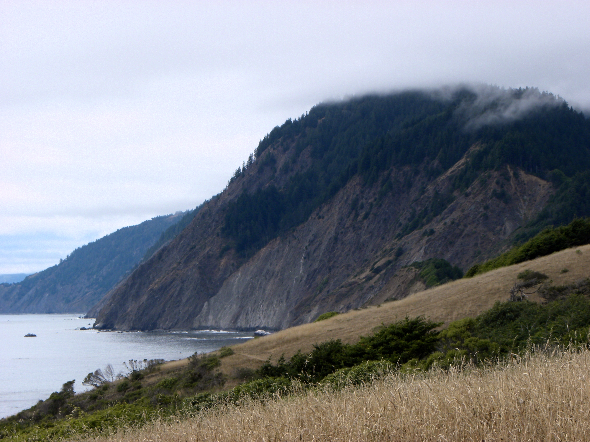 Sinkyone Wilderness State Park