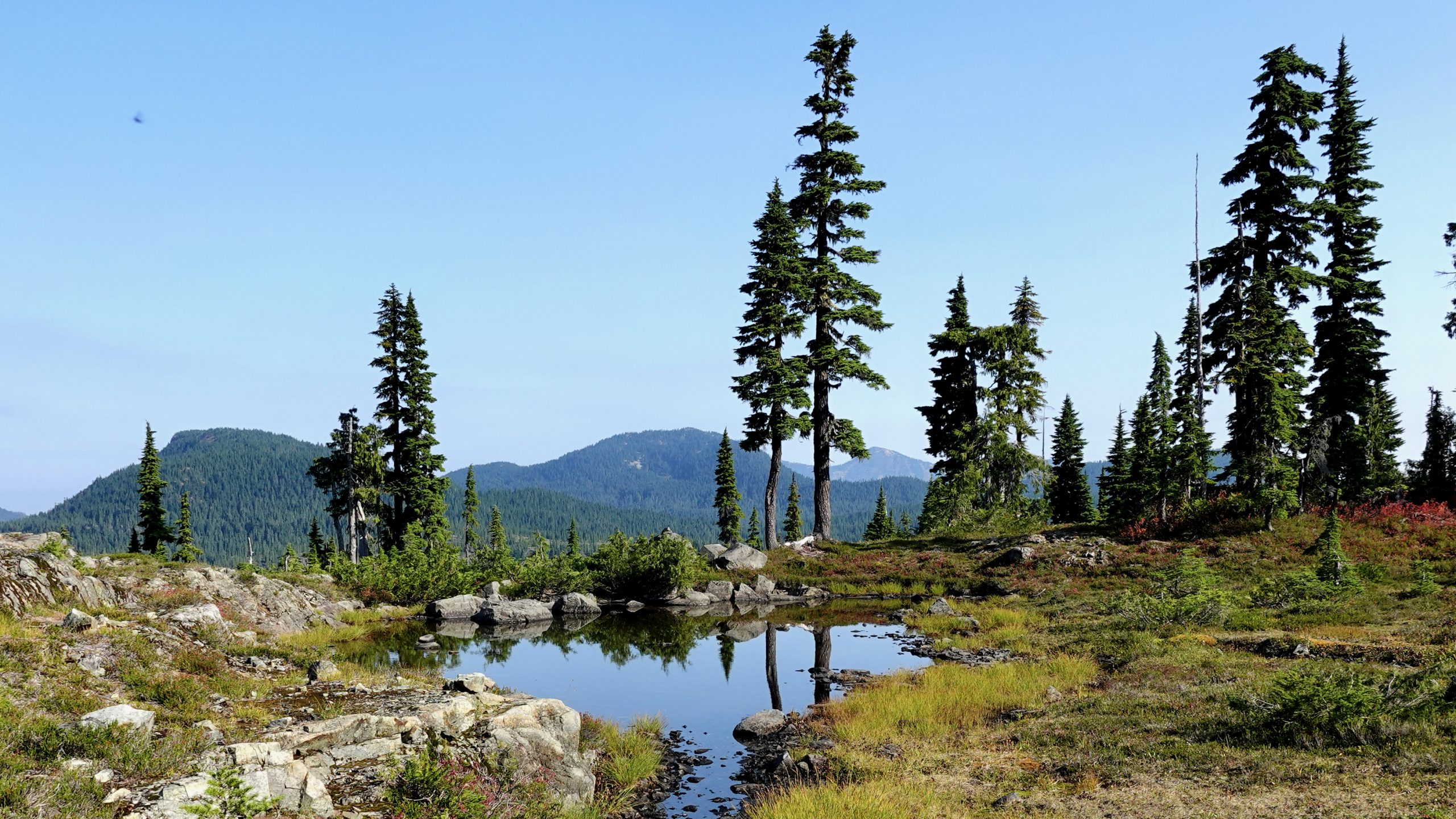 Strathcona Provincial Park