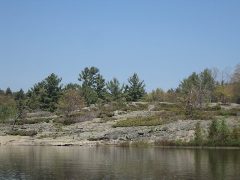 The Massasauga Provincial Park
