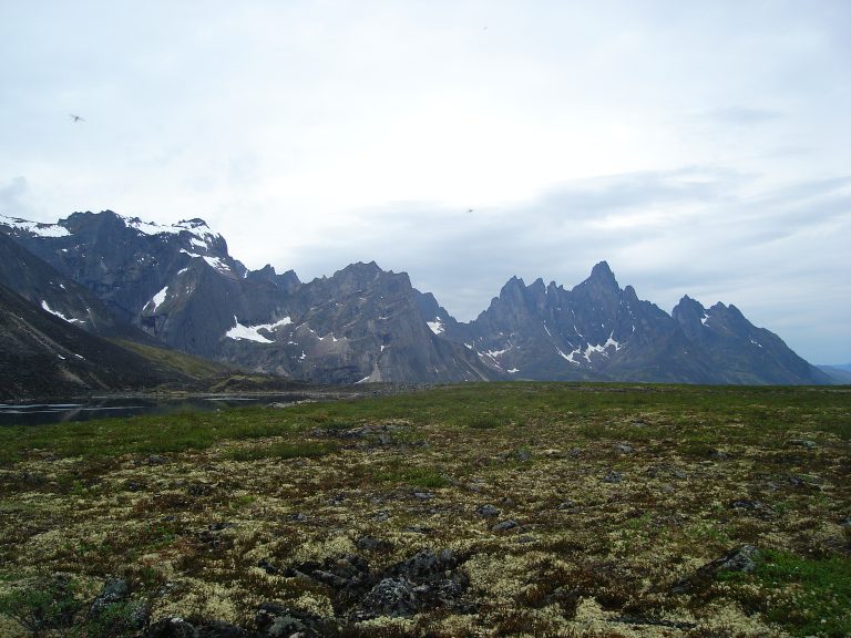 The jagged Tombstone Range above tundra in Tombstone Territorial Park, Yukon