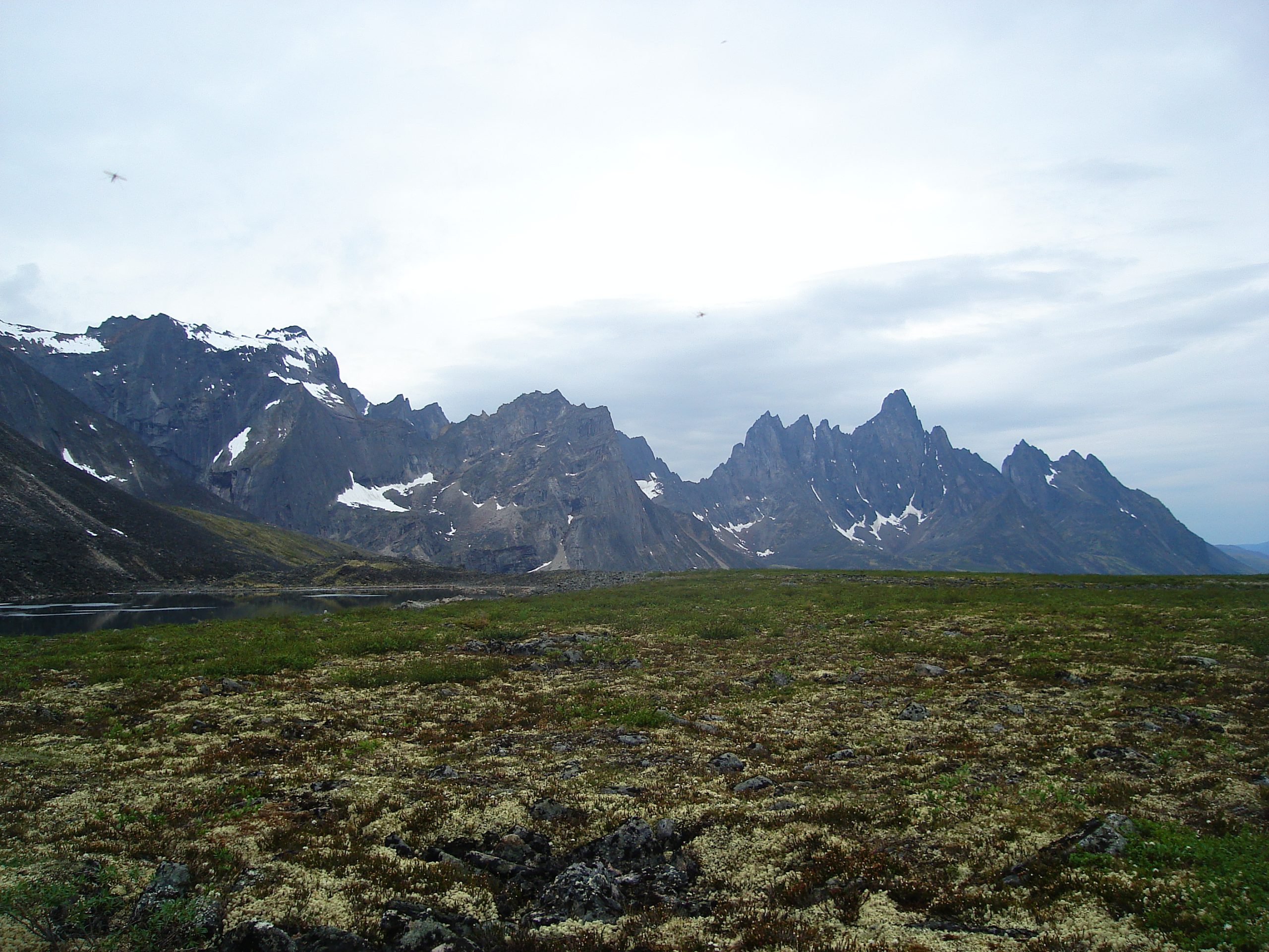 Tombstone Territorial Park
